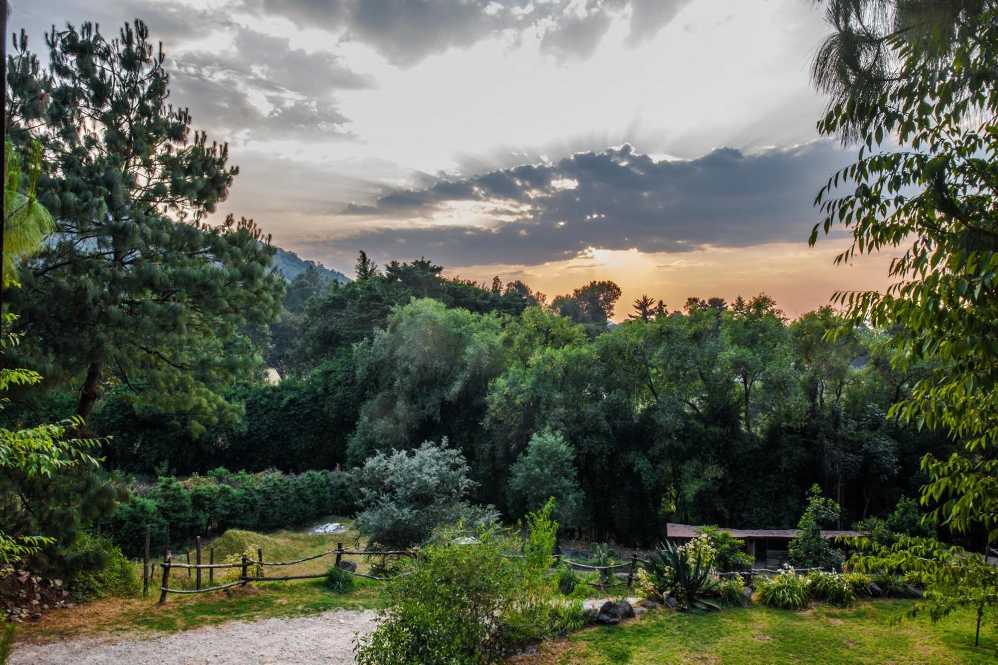 Avándaro Lofts In The Forest מראה חיצוני תמונה